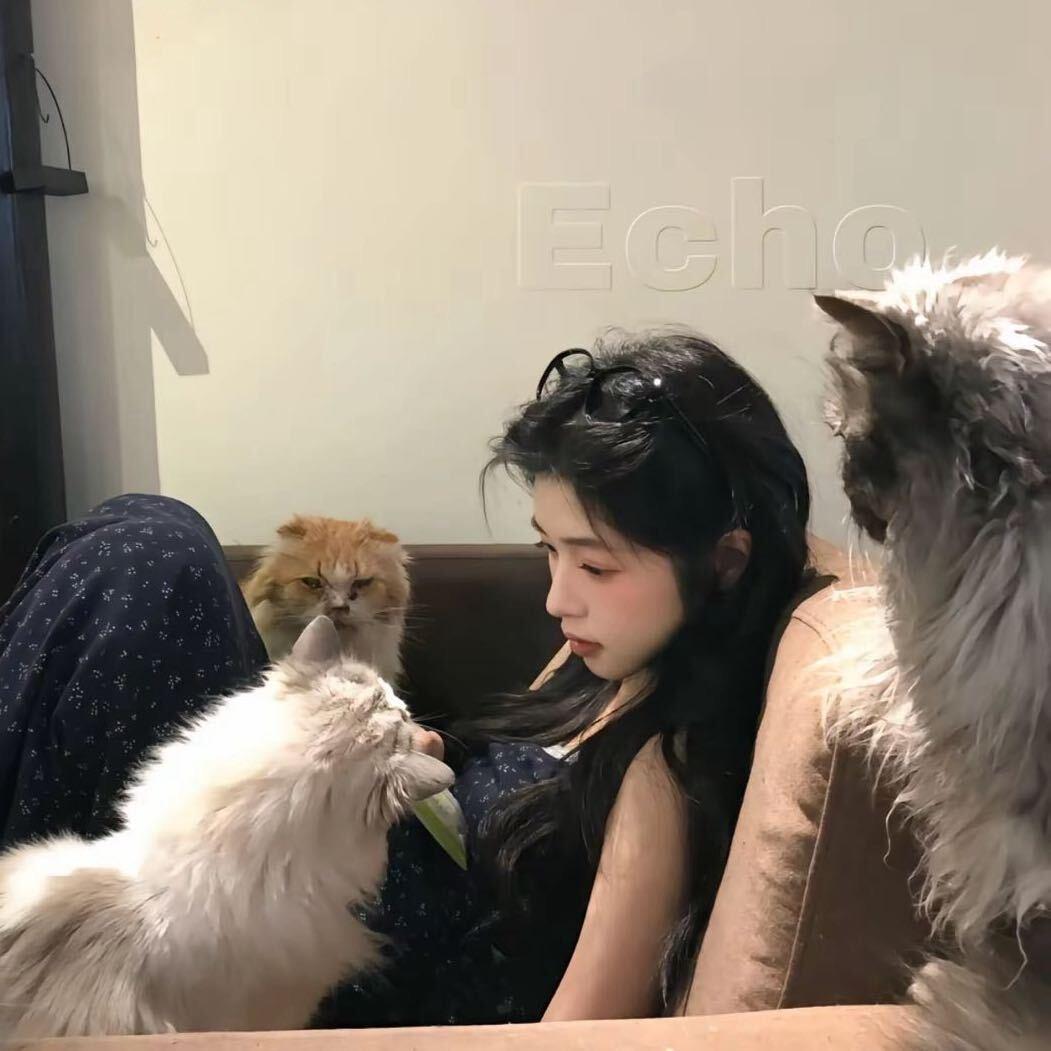 睡着了就不困了