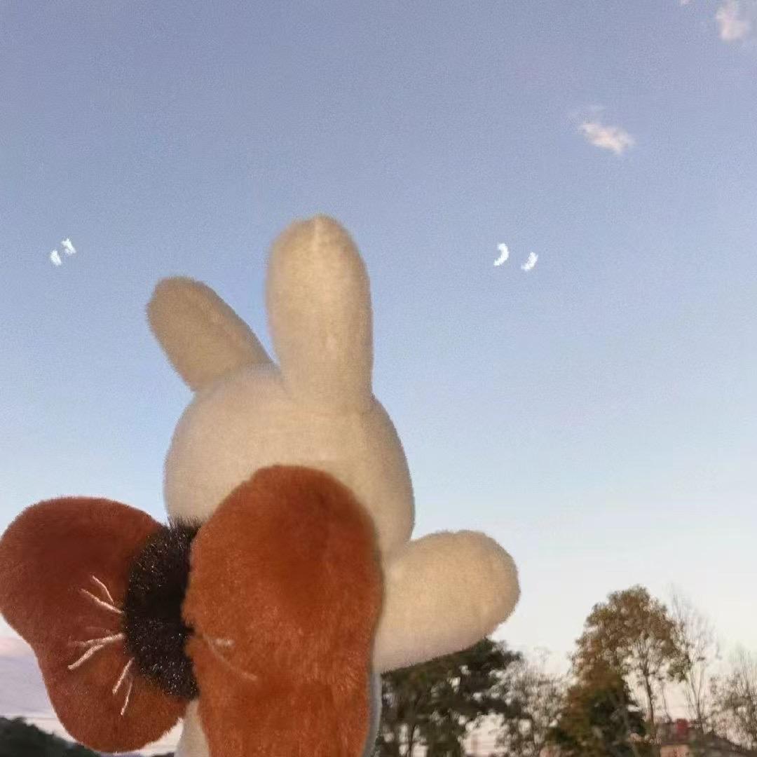 岁岁