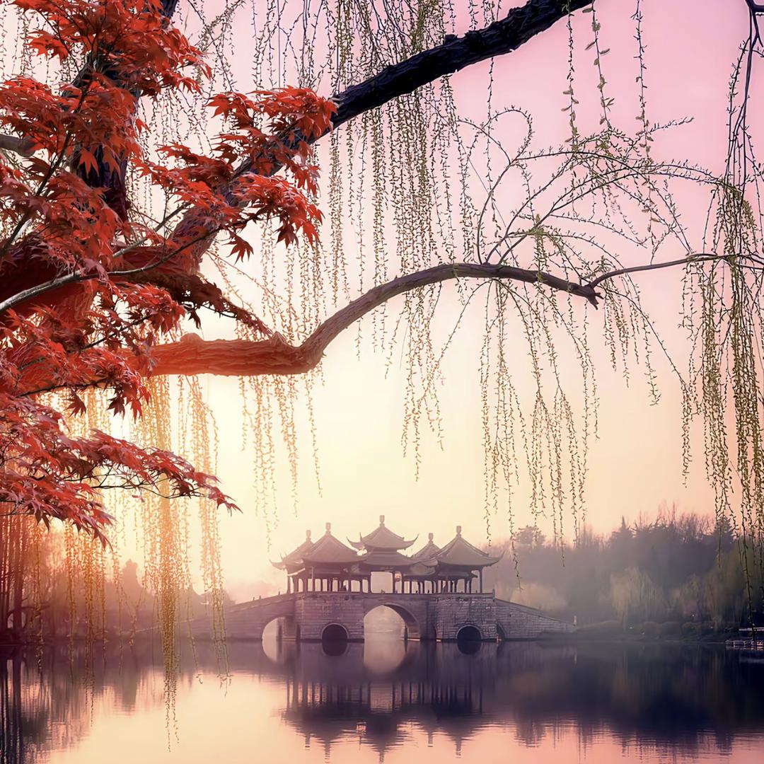 桂花香客栈的头像