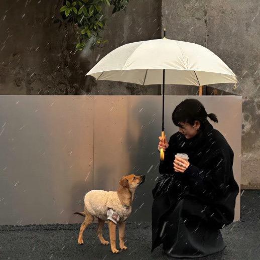 付福福