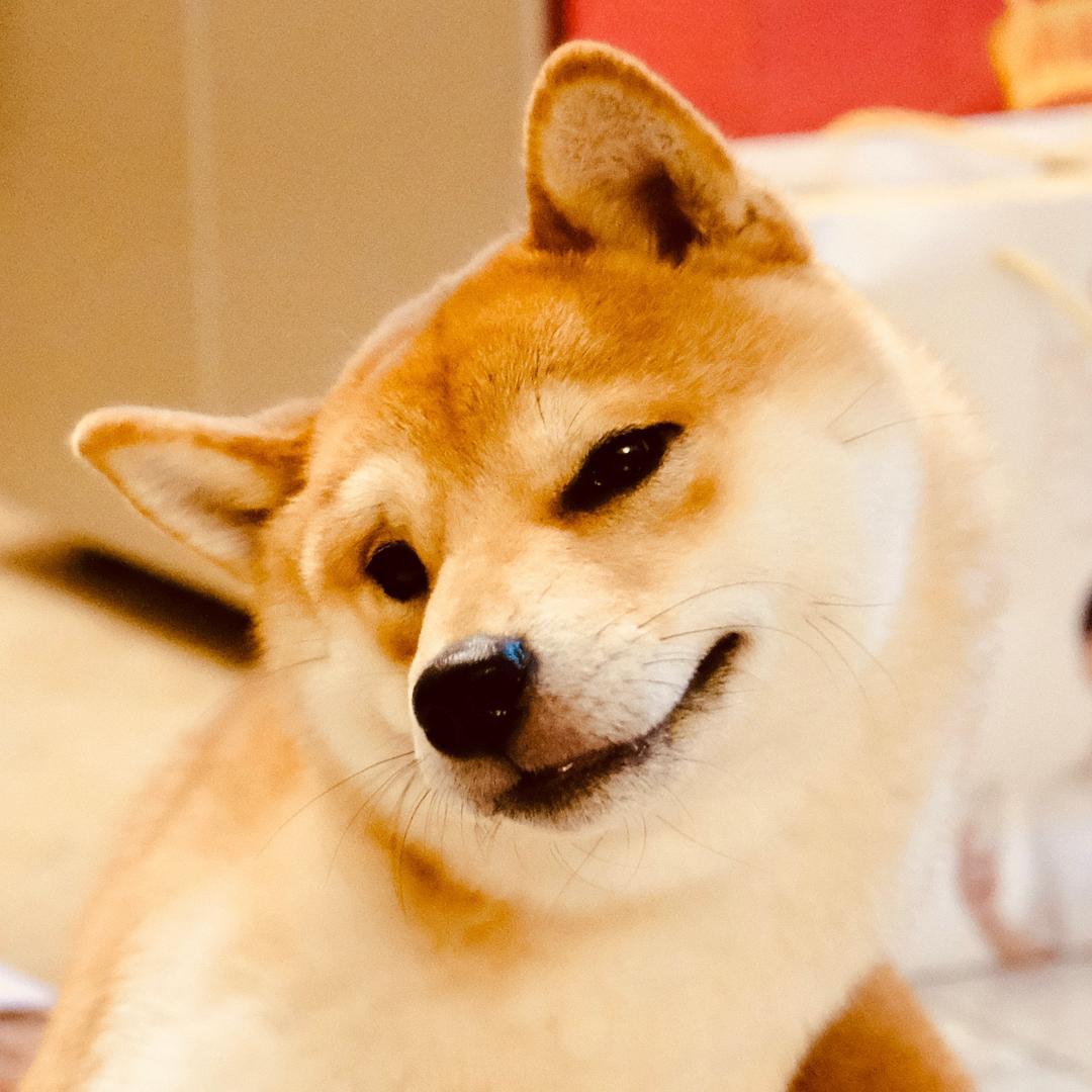 忌廉c