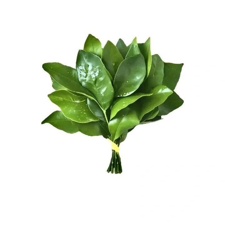 猪瘾来了就上称