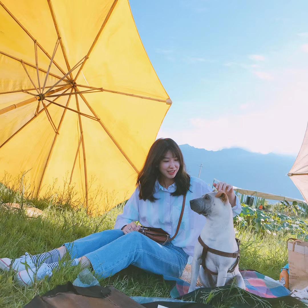 爱开盲盒的可乐