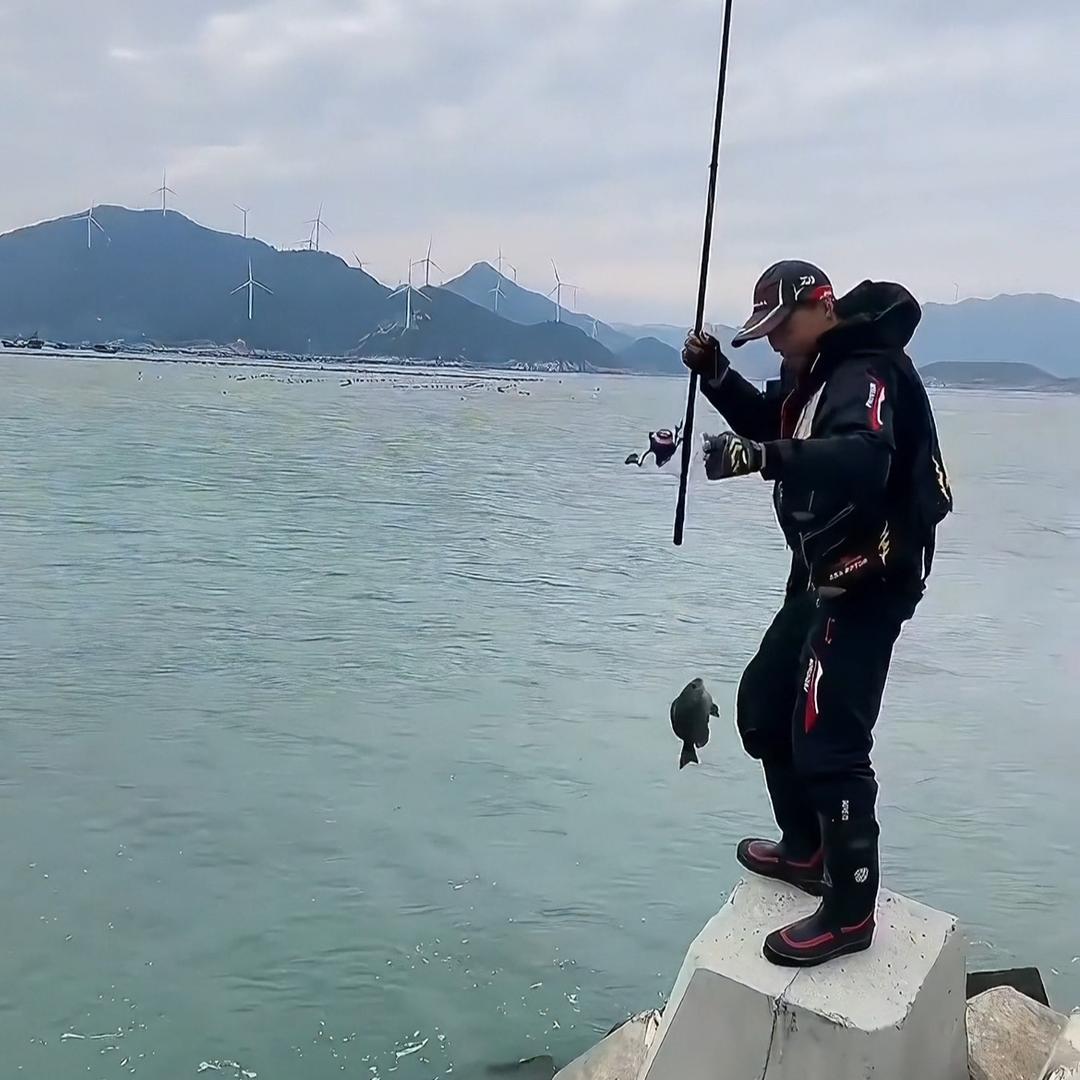 矶钓🦈小趴菜