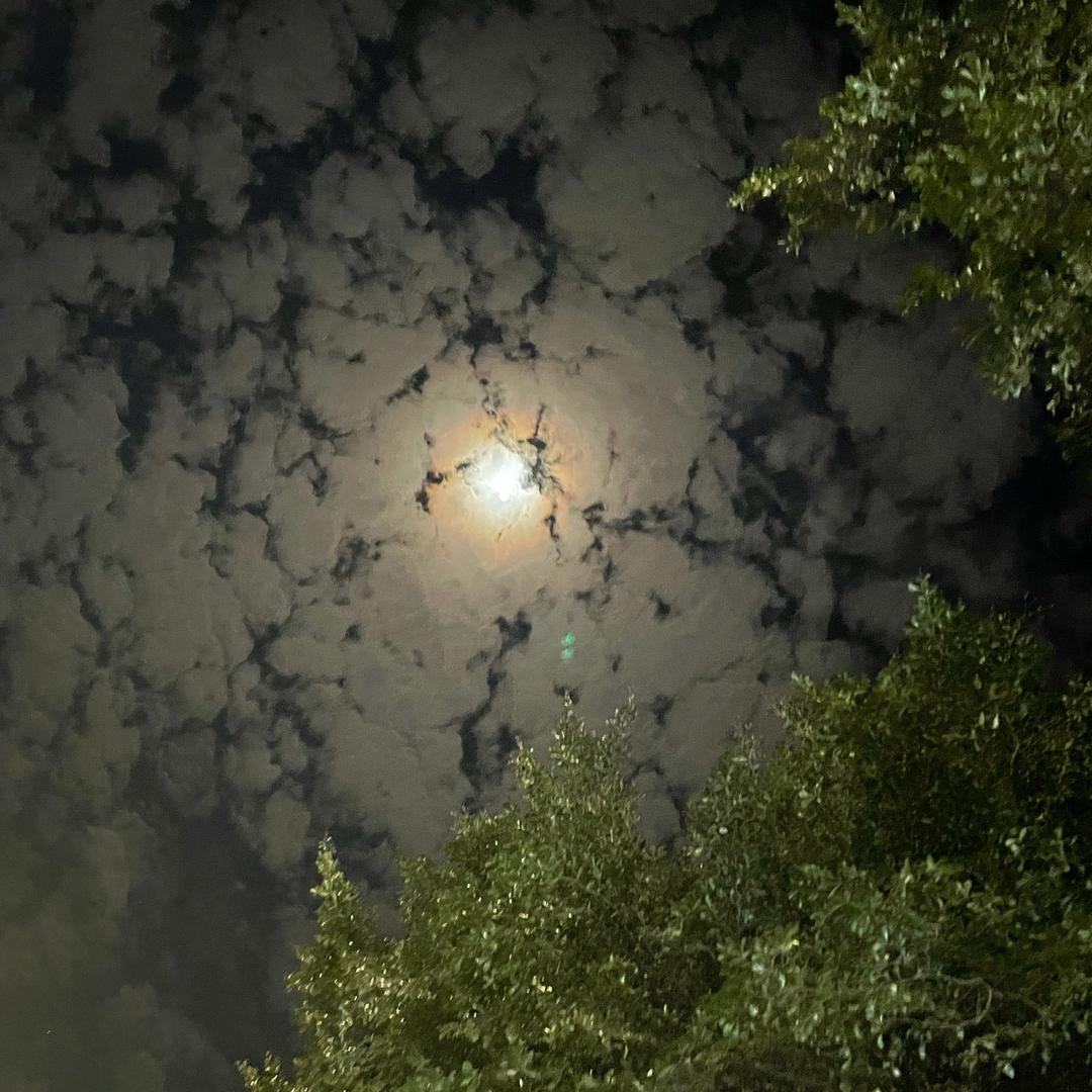 🐯¹⁹₉₈陳℘࿐