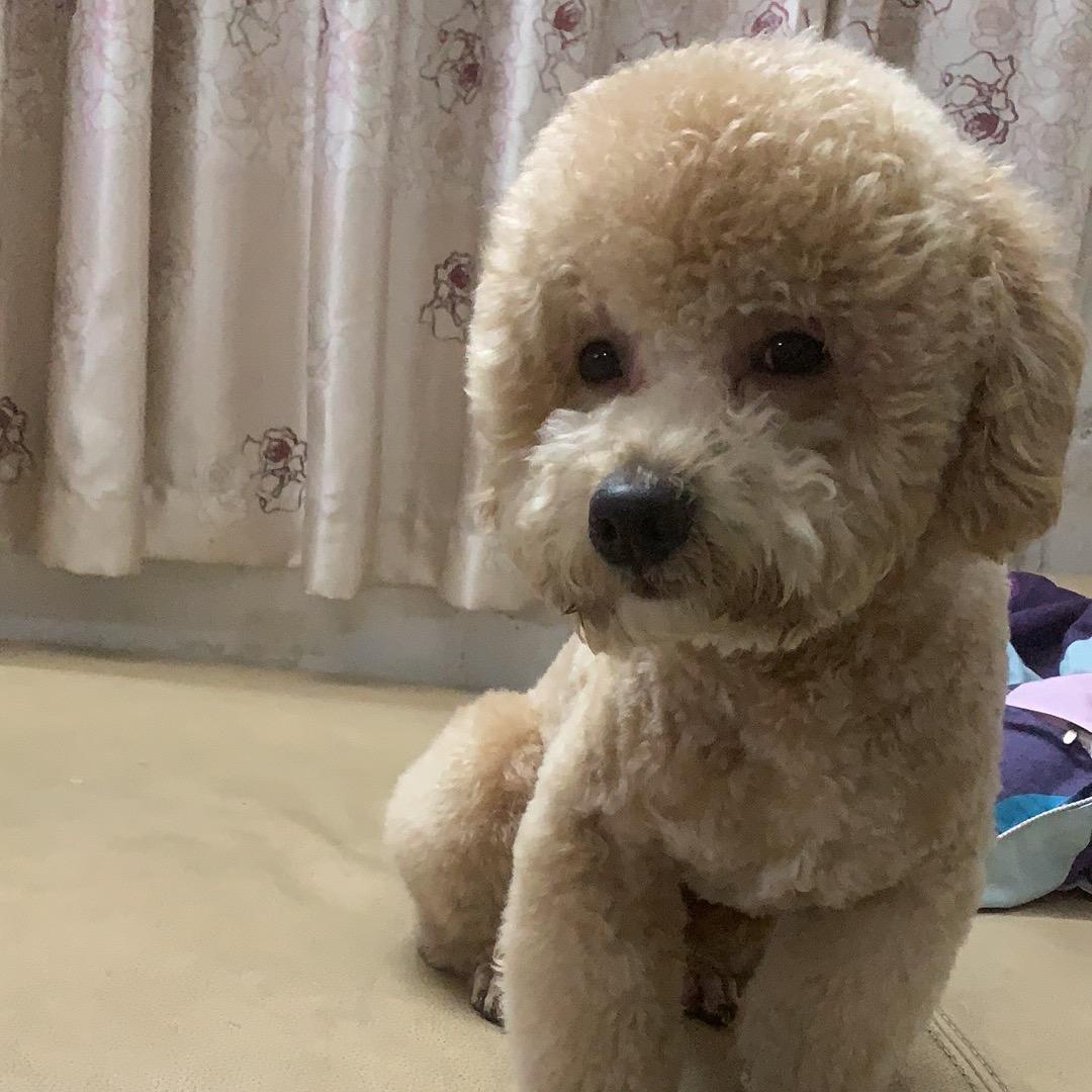 惠💫💫