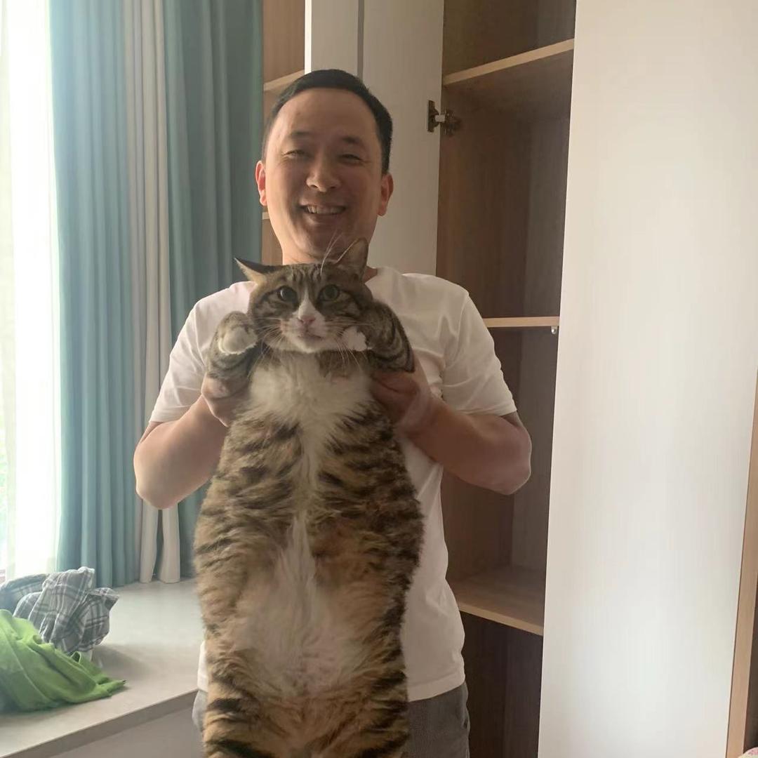 新津阳光整家定制