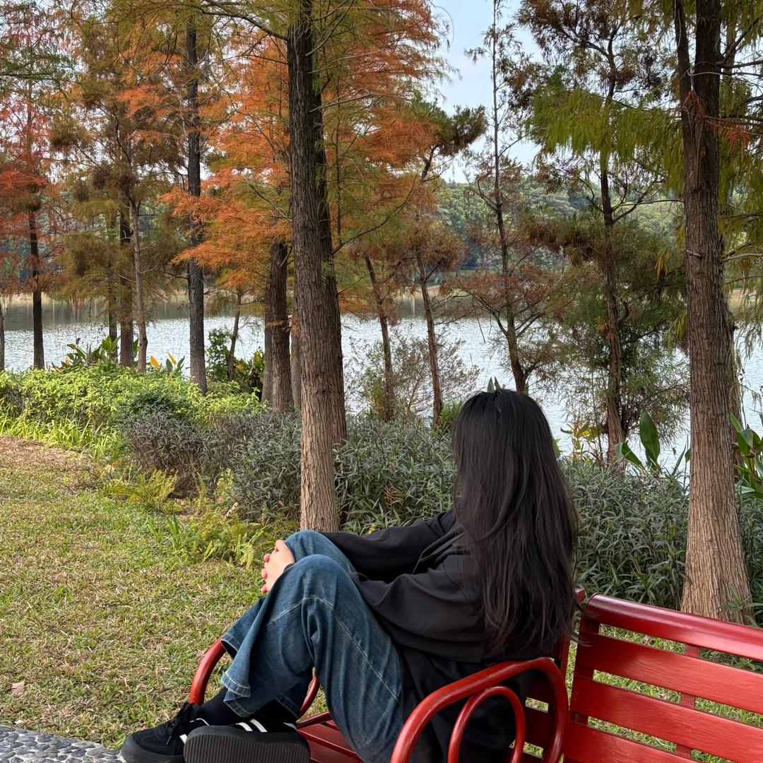 柿柿如意.