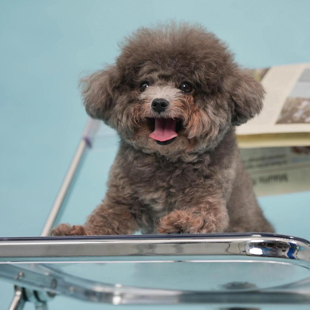 悦悦好物优选..