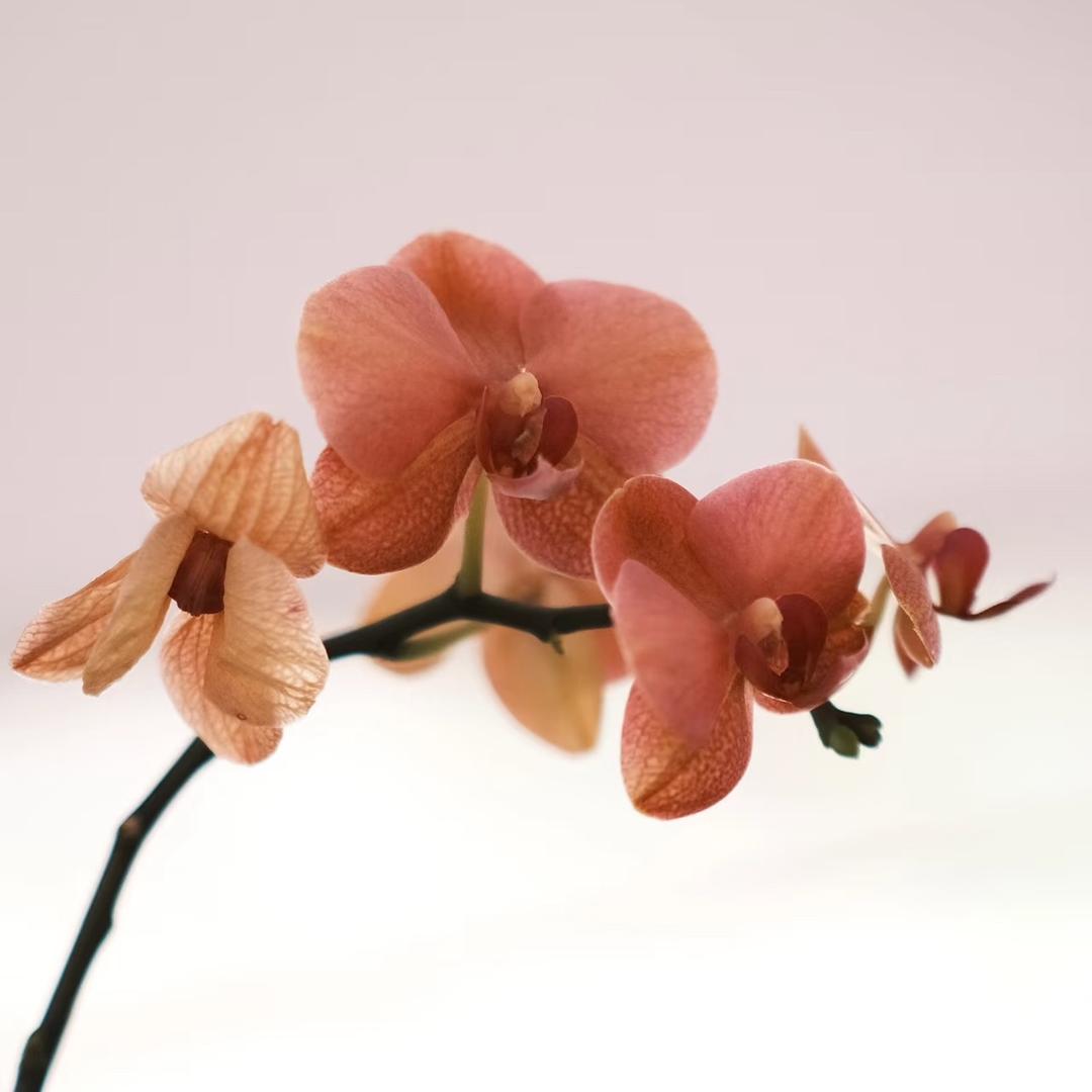 泽妍Facial美学室