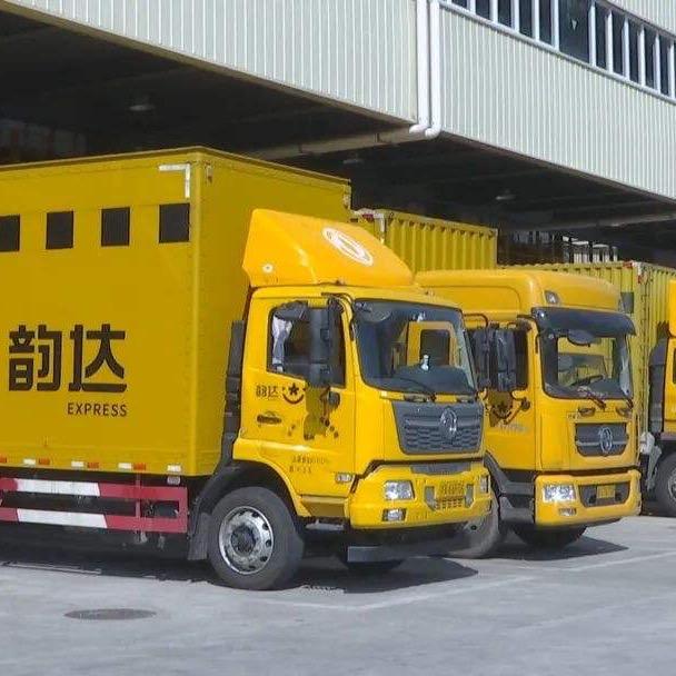莉米再网络科技工作室
