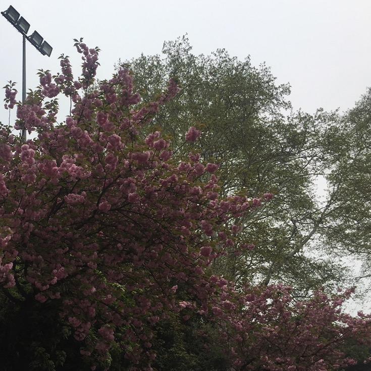 健康顺利
