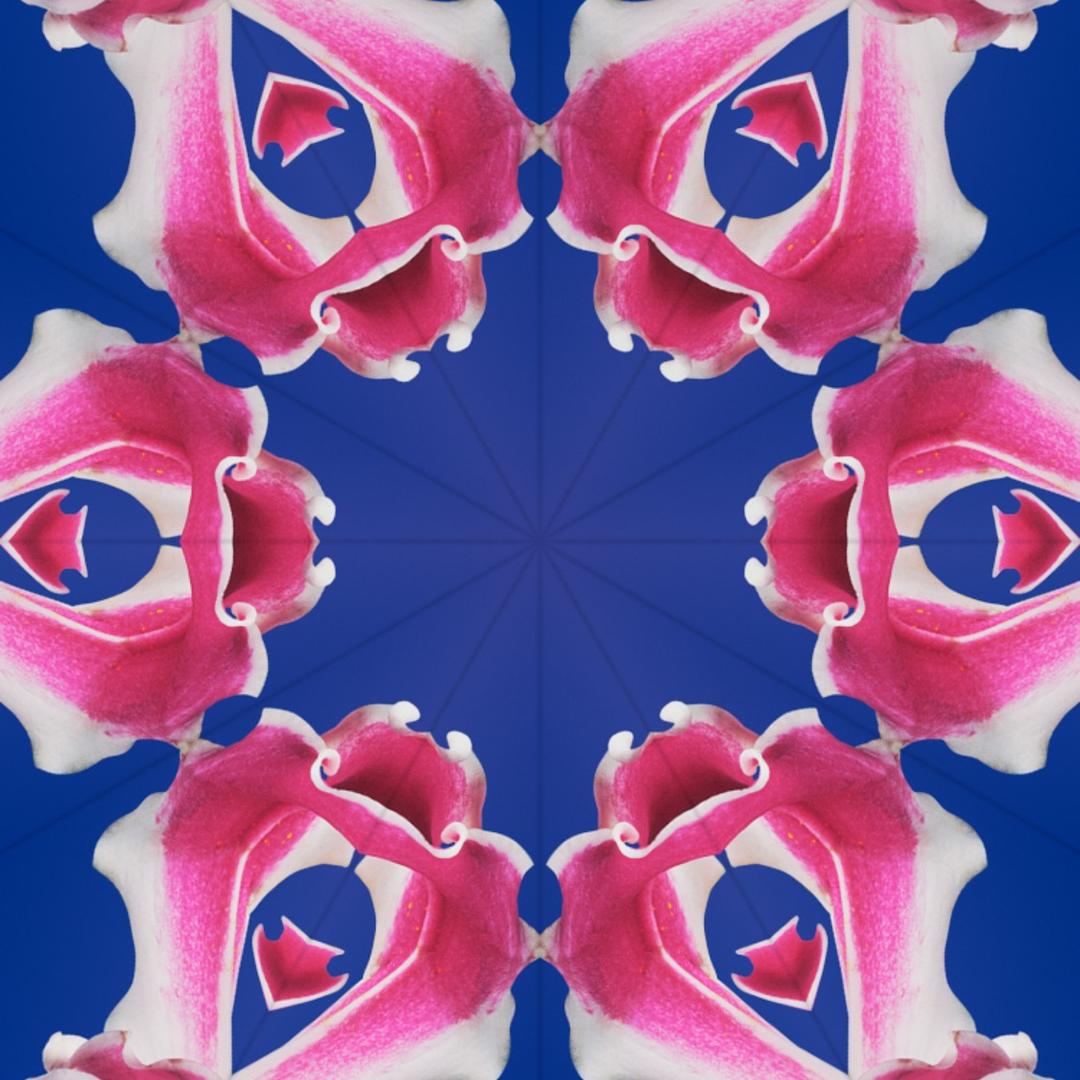 才然哥