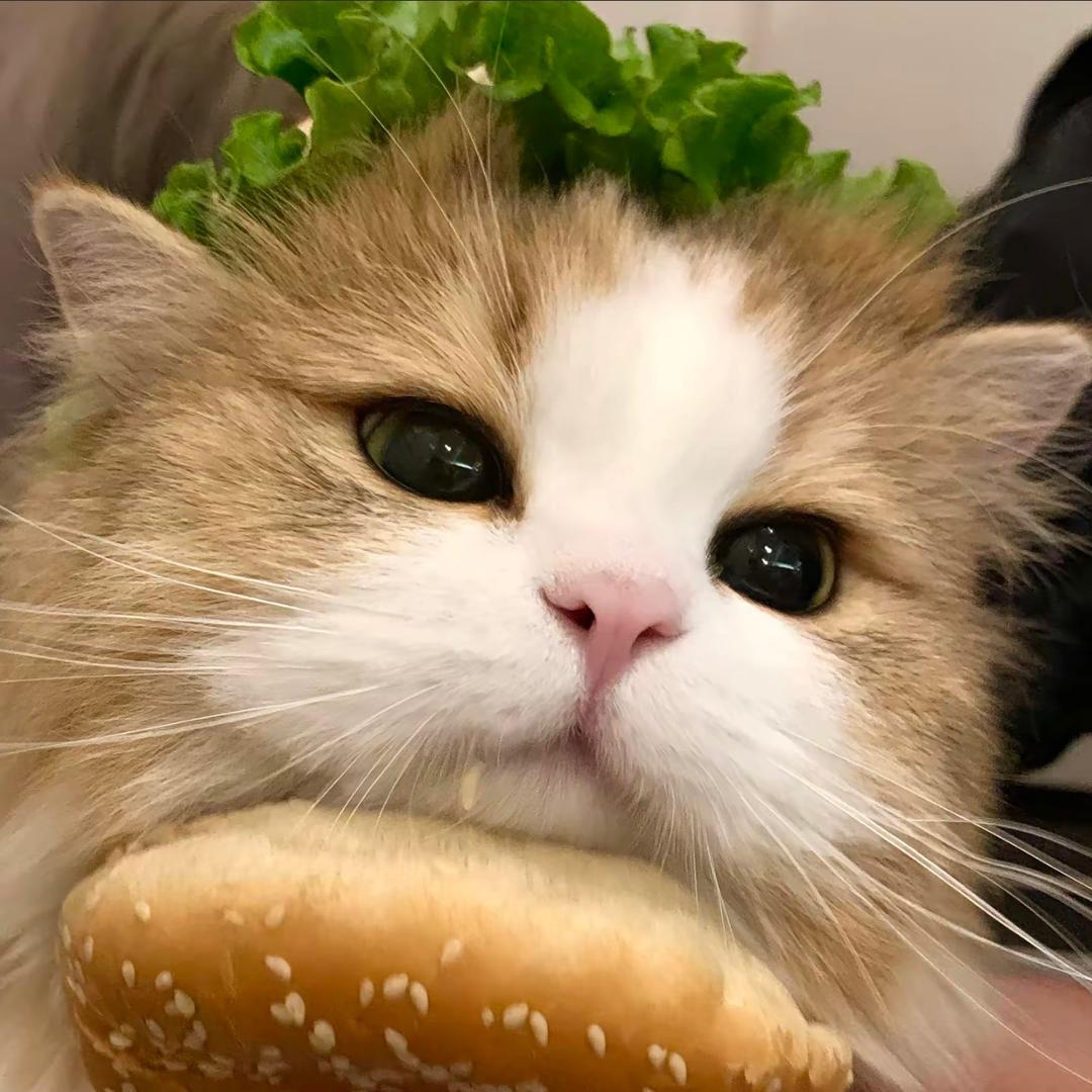 宸宸