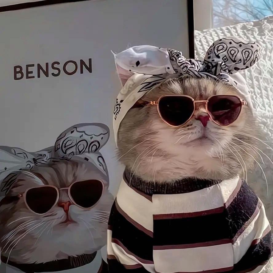 小思雨耶✌🏻️