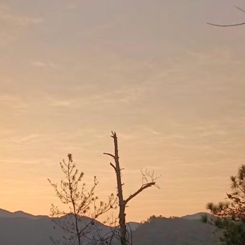 🎣爱钓鱼的奥德彪🐠