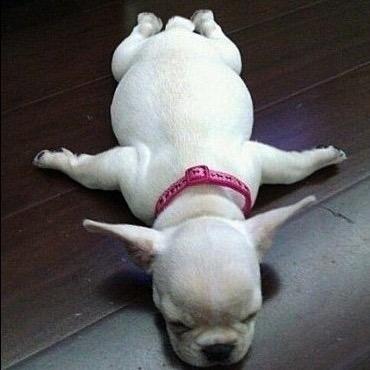 ___ 어덯게 。　"