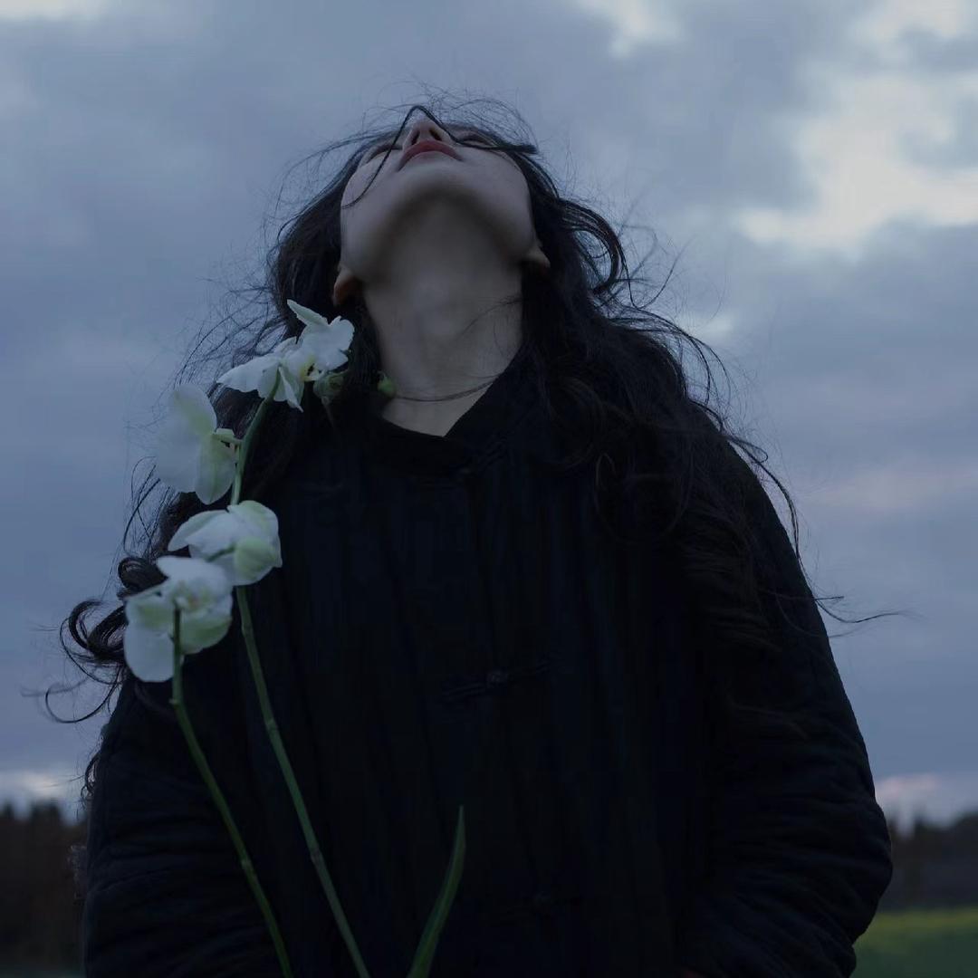 婷宝在努力❤️