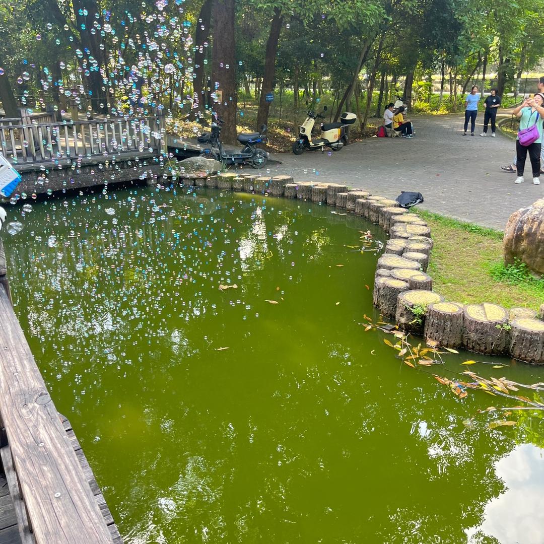 不发财就发疯吧