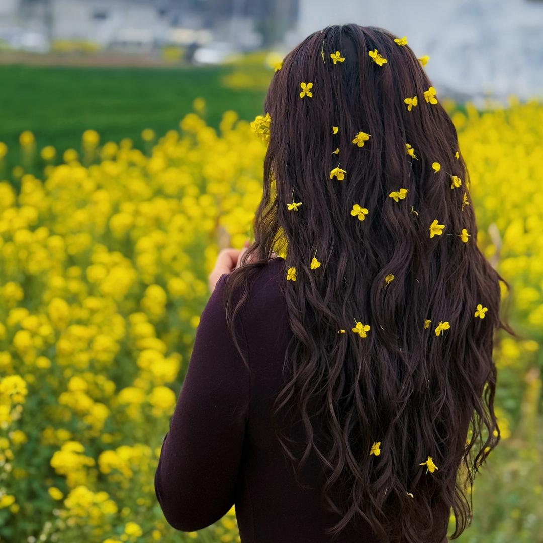 胡说八道的小胡