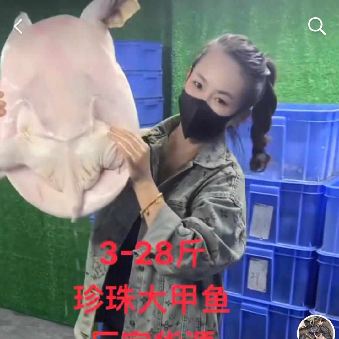 粤龙龟鳖