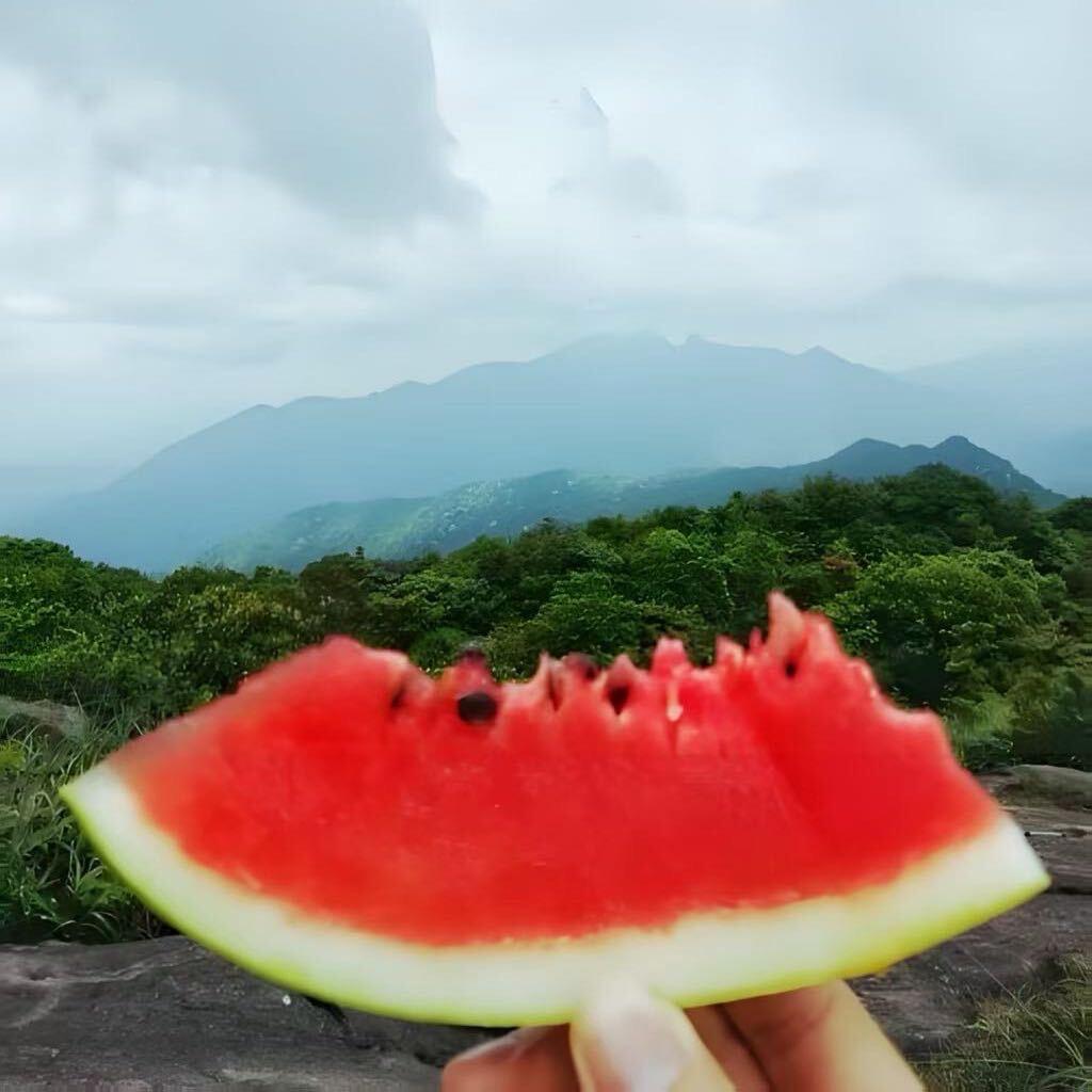 阿洋
