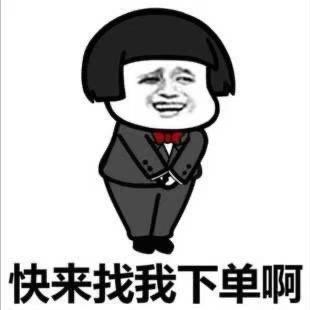 啊小智（王者工作室）
