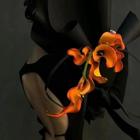 XIAO🍀XI MENG☘️