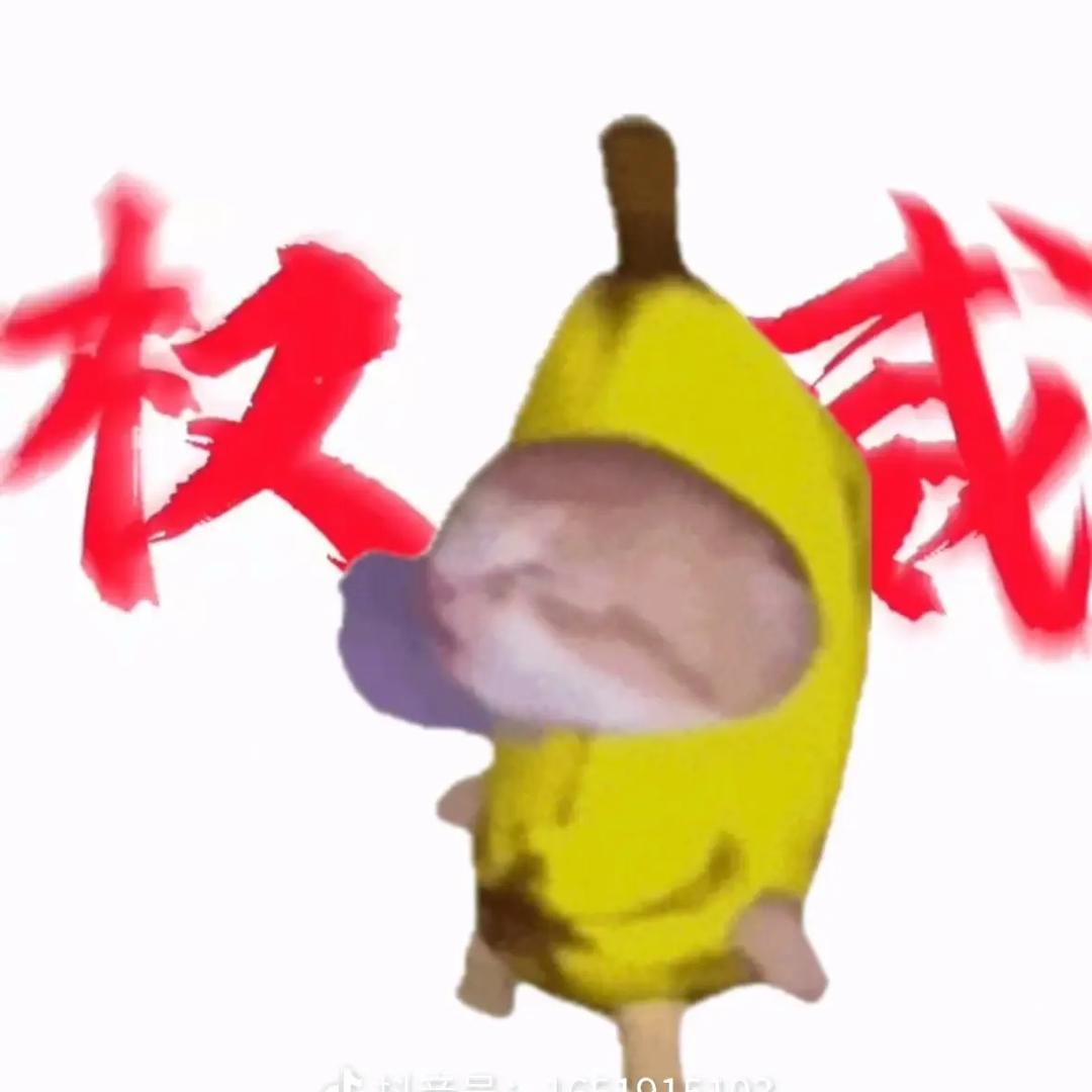 菜菜猫meme的日常