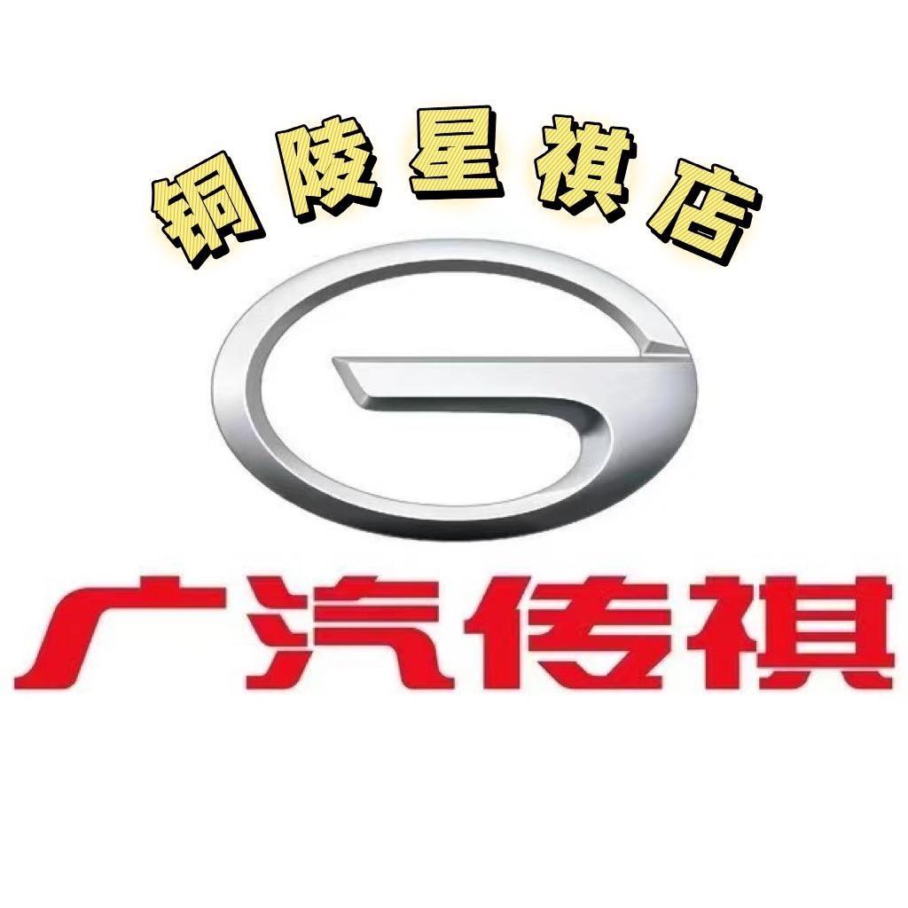 广汽传祺MPV｜铜陵星祺