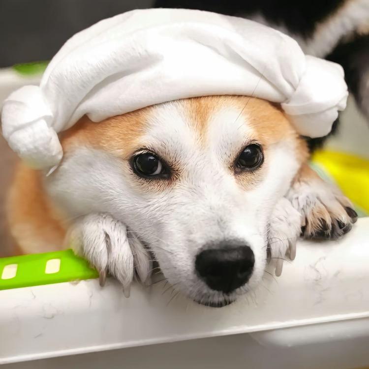 天天要开心