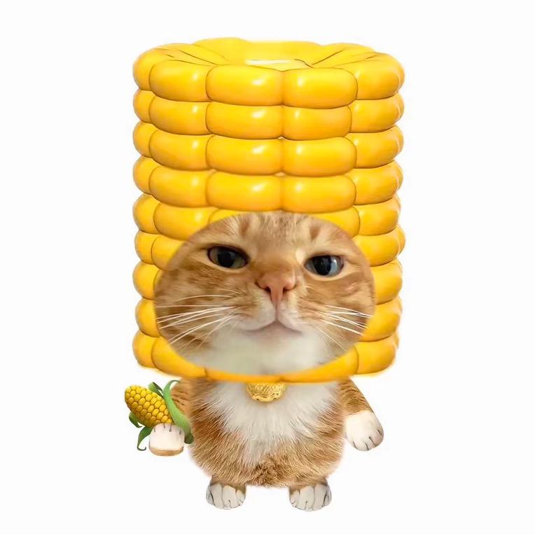 玉米爱吃lu.
