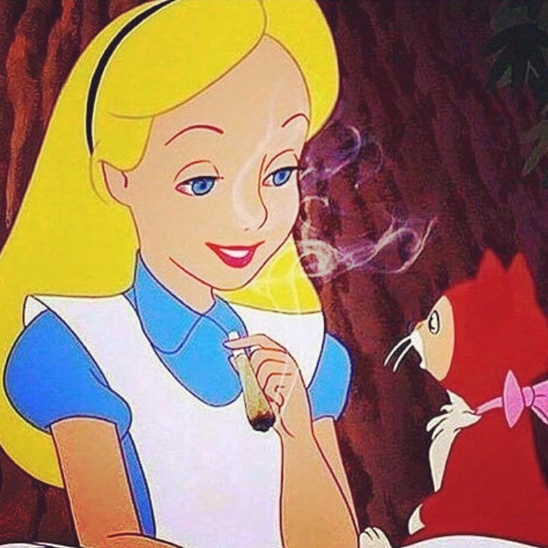 楼导