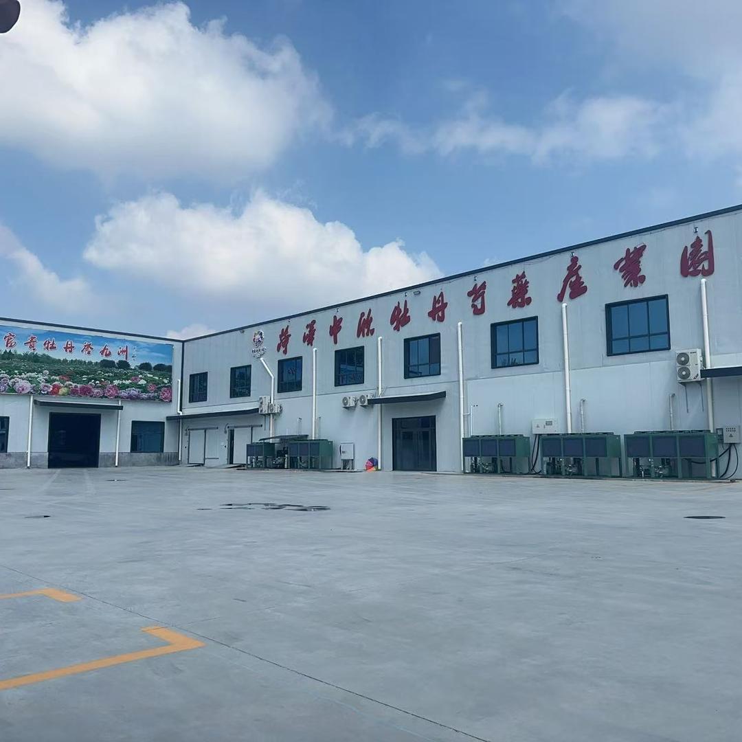 菏泽中欣牡丹芍药    花家王国牡丹芍药