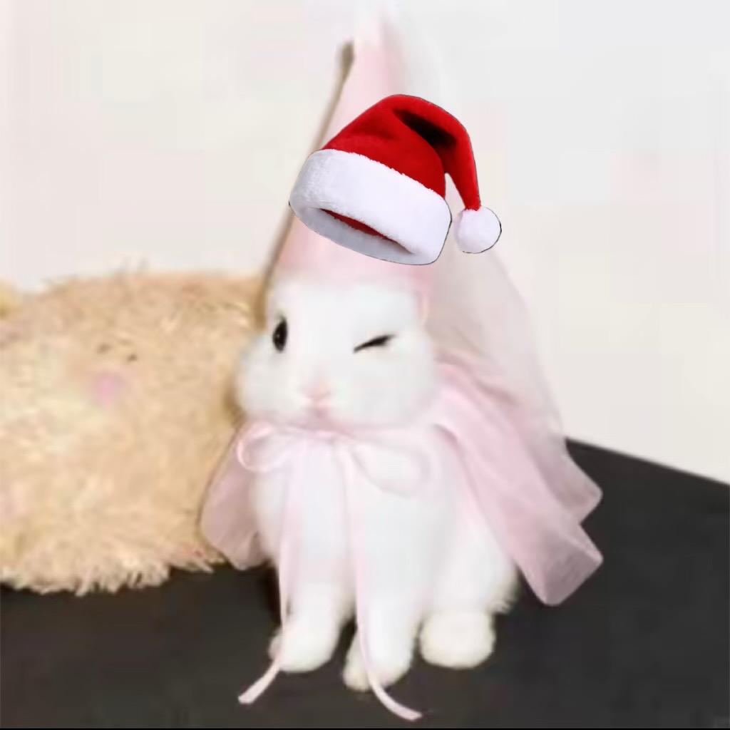 炸毛^