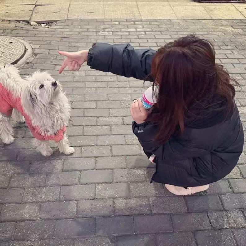 小犀牛爱喝水
