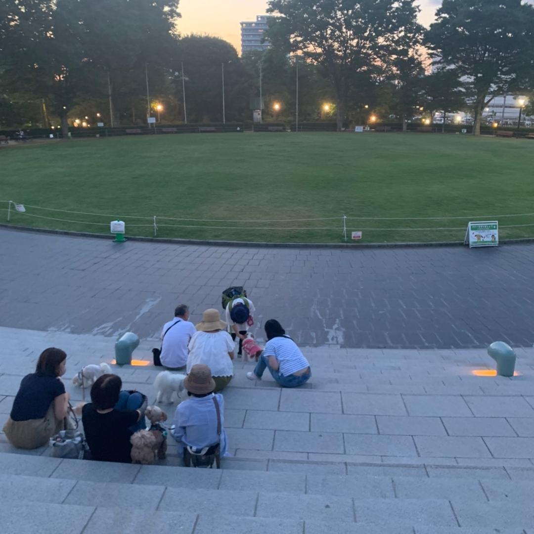 我能一口吞一个鸡蛋