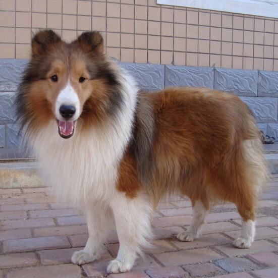 余生💕我陪你💕