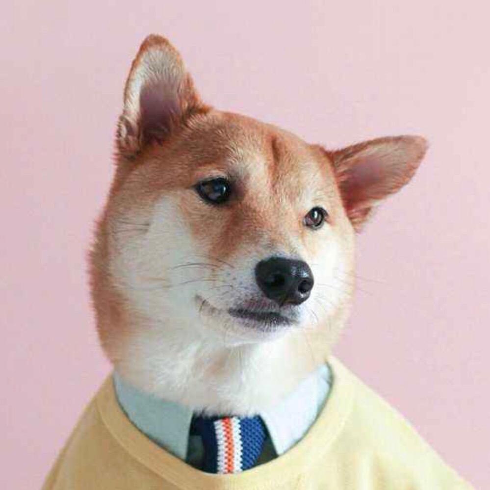 重生之我在扬州卖房子