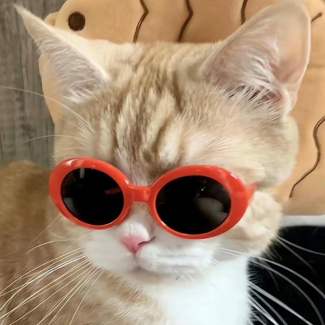 怿予