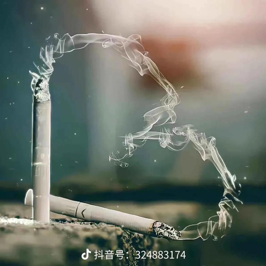 南风✨微凉⚡️