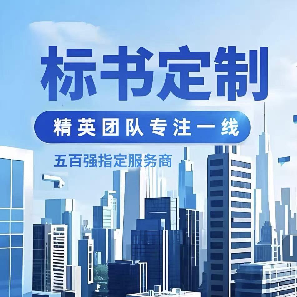 启铭星元标书制作