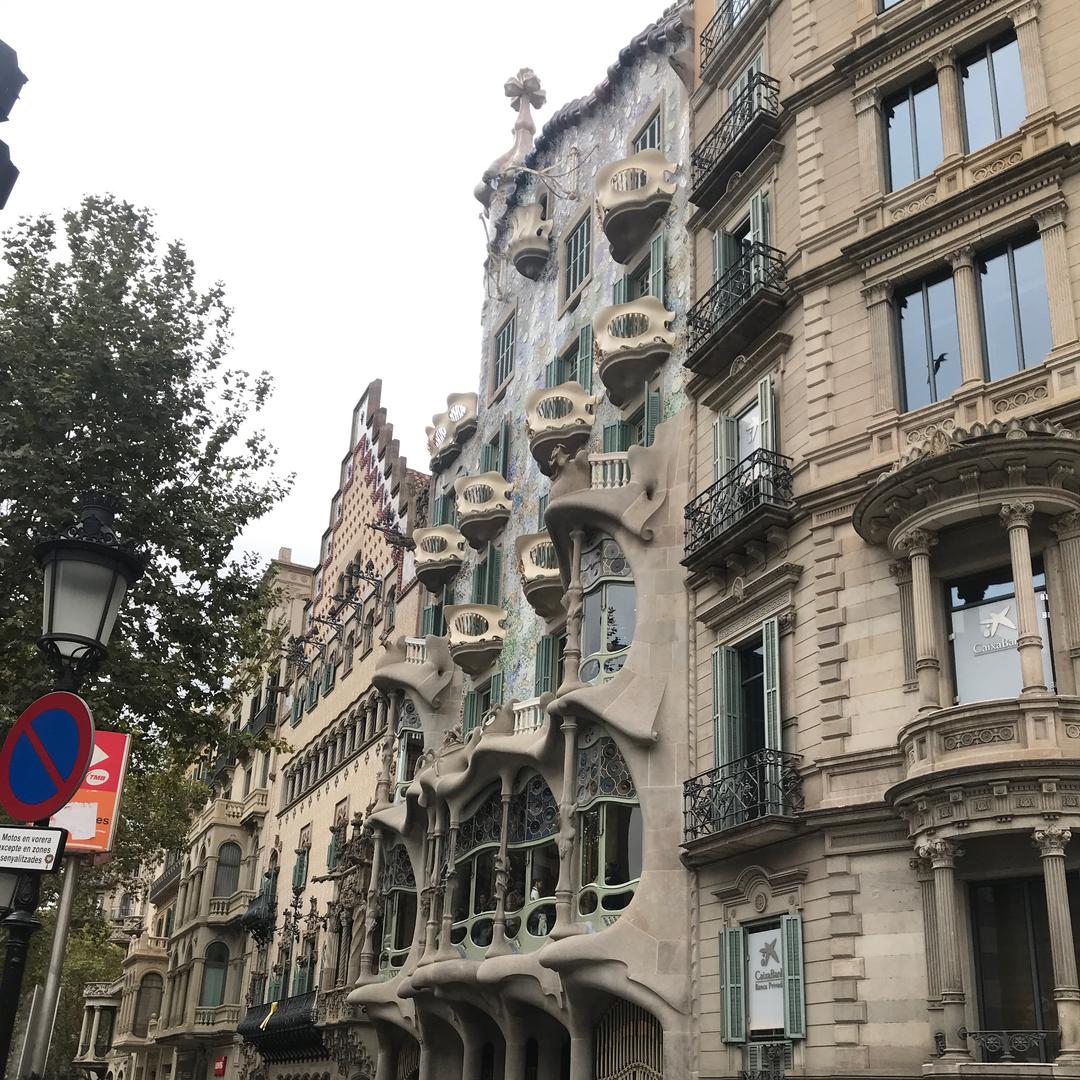 ♎️太阳哥🇨🇳