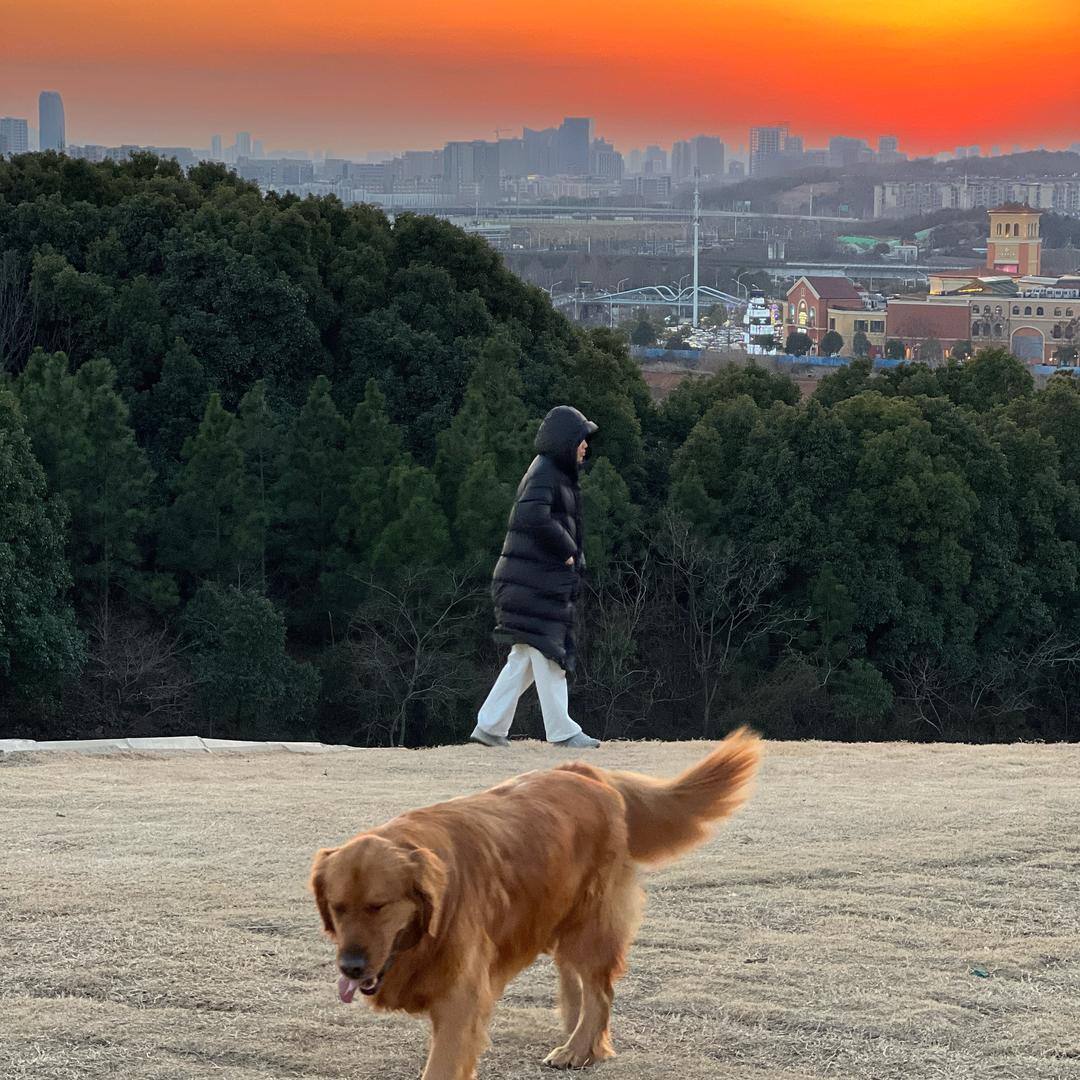 👻😈小怪😈👻