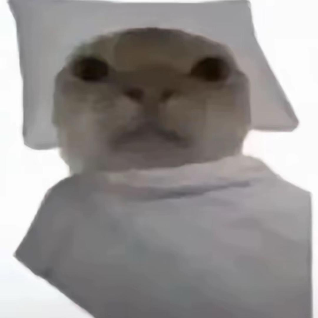 半价嵌糕