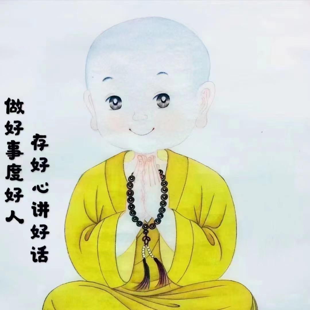 菩提夏夏