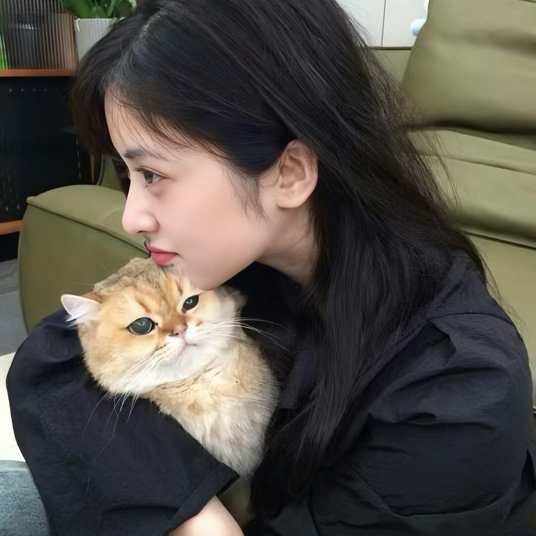 盼盼
