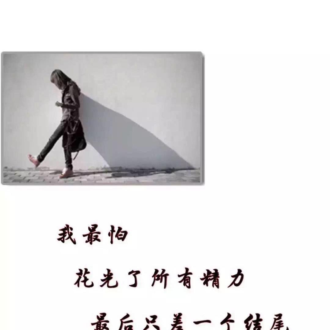 张跑跑