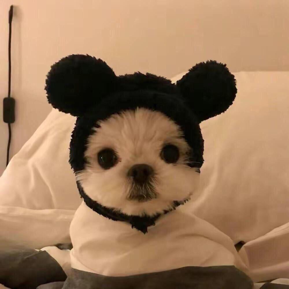 小柒
