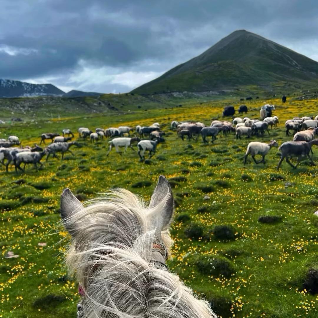 ࿂སྐལ་བྷེ།